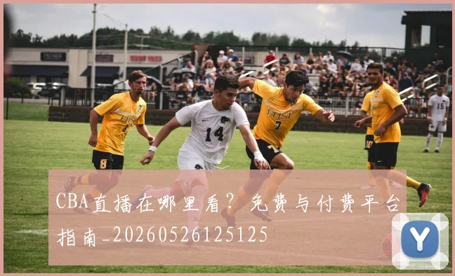 CBA直播在哪里看?免费与付费平台指南_20260526125125